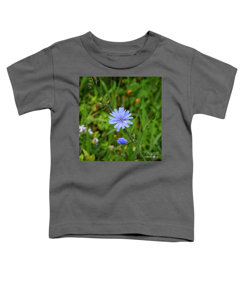 Periwinkle Toddler T-Shirt featuring the photograph Chicory in the morning by Mary Machare