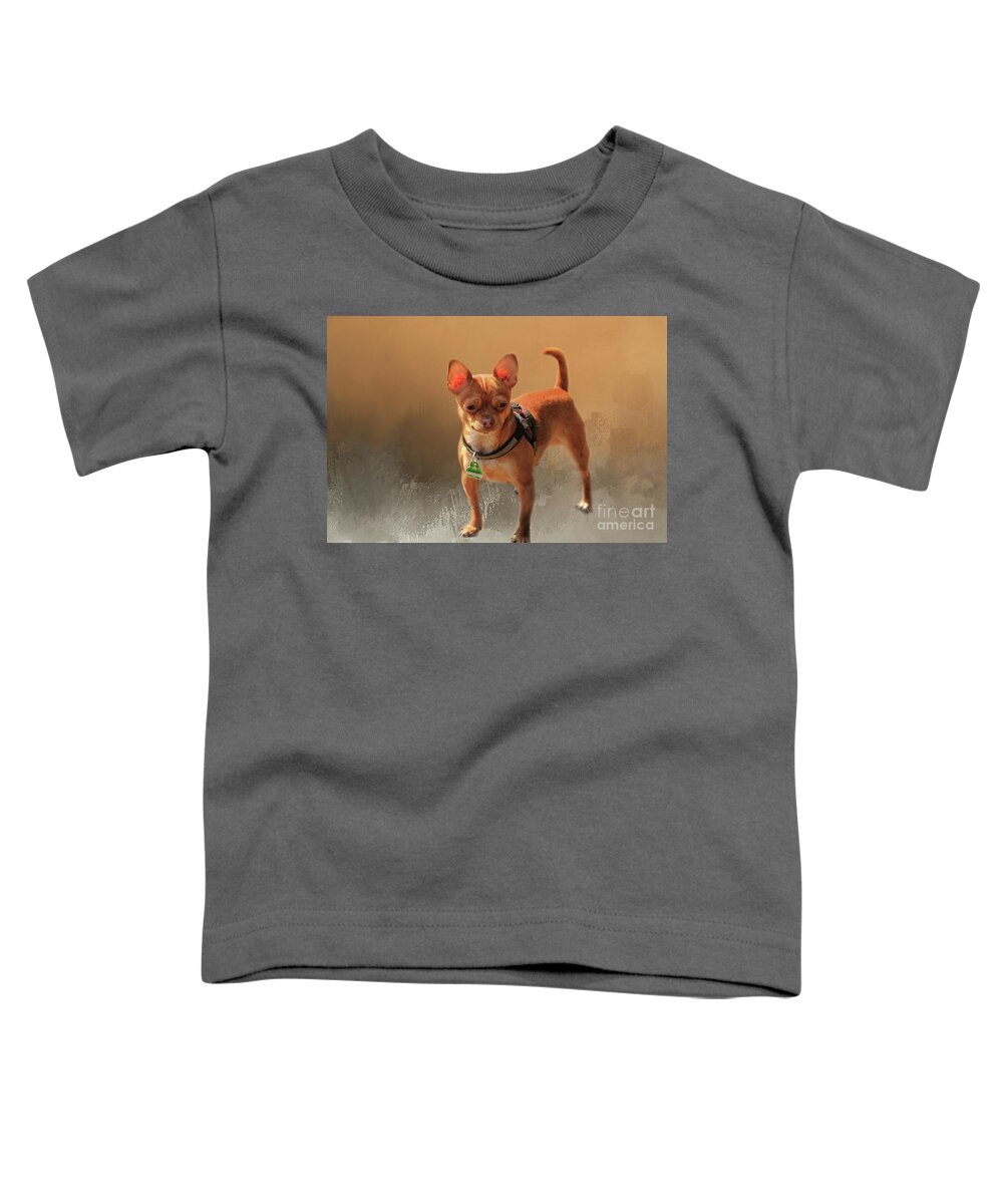 Chihuahua Toddler T-Shirt featuring the photograph Chihuahua by Eva Lechner