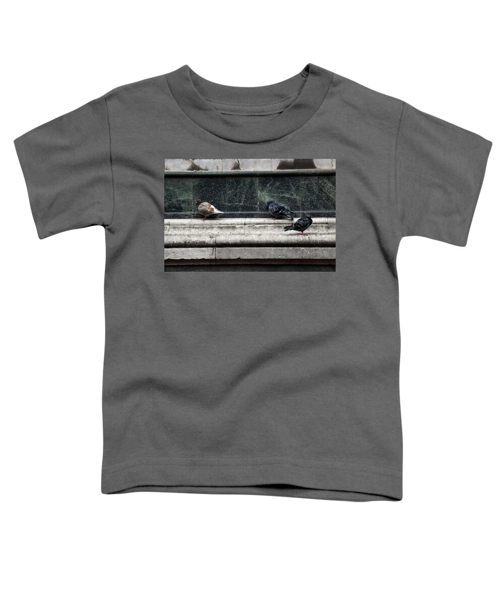 Pidgeon Toddler T-Shirt featuring the photograph Chilly Day Duomo by Laura Davis