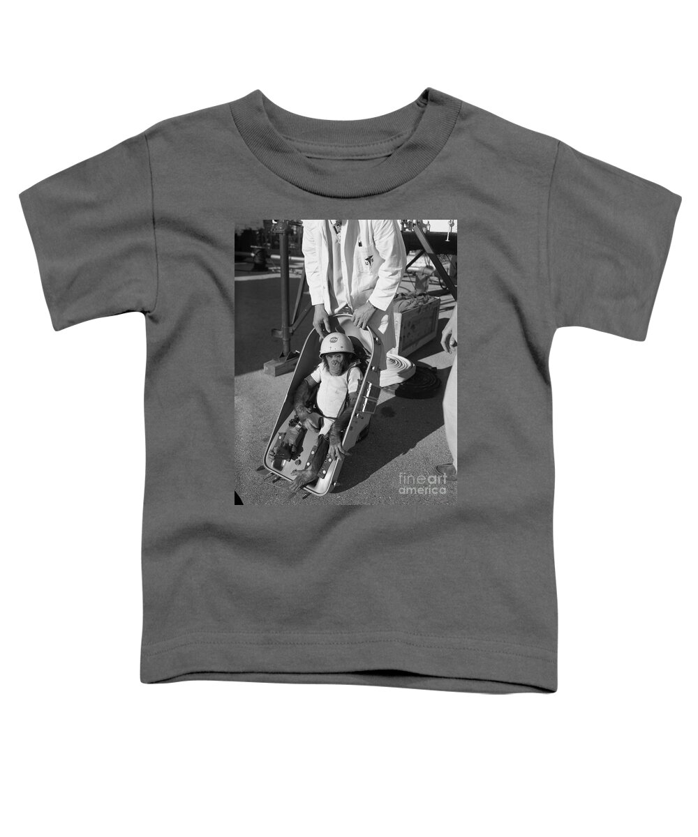 Chimpanzee Toddler T-Shirt featuring the photograph Chimpanzee Ham in his spacesuit and NASA helmet by Vintage Collectables