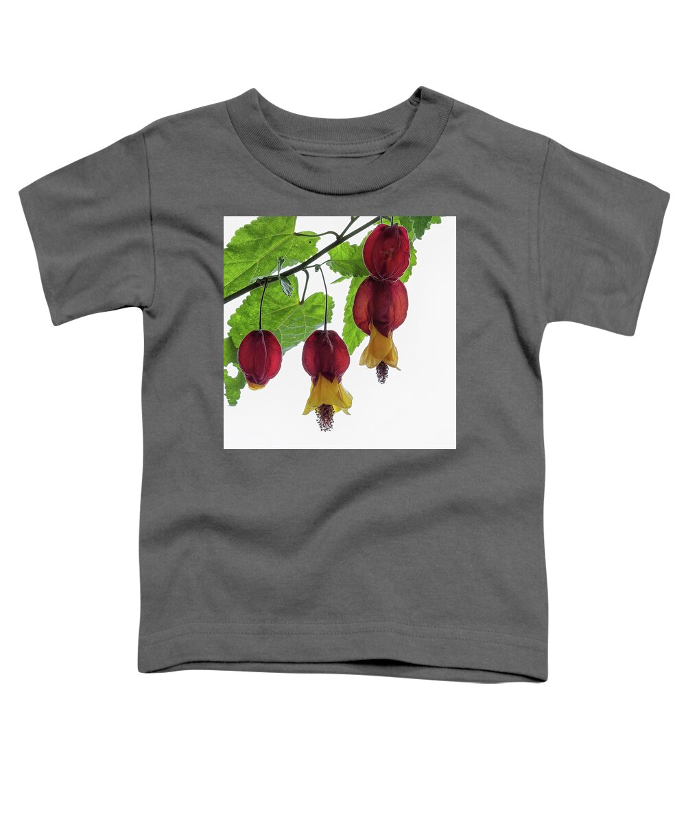 Shrub Toddler T-Shirt featuring the photograph Chinese lantern 4 by Shirley Mitchell
