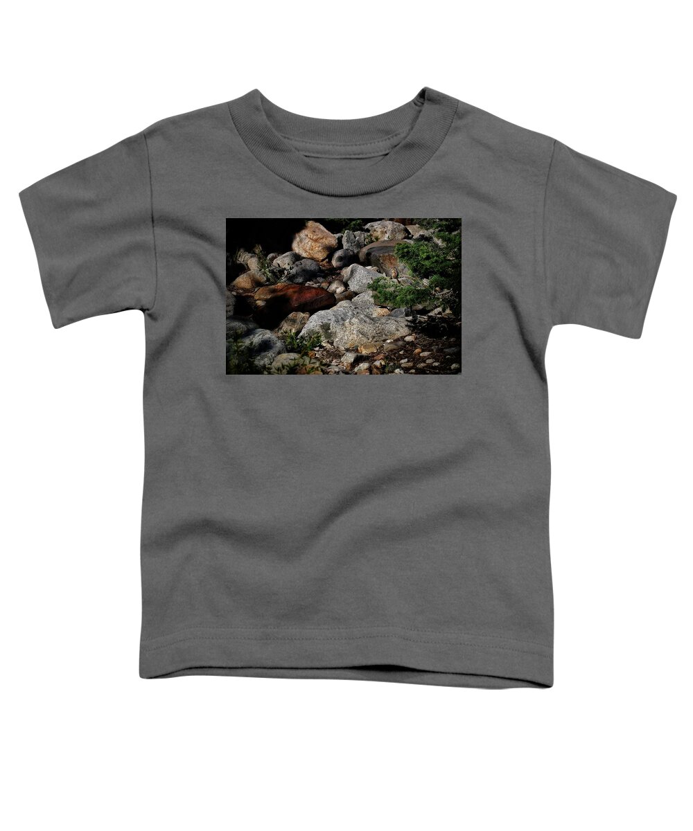 Domain Toddler T-Shirt featuring the photograph Chipmunks Domain by Buck Buchanan