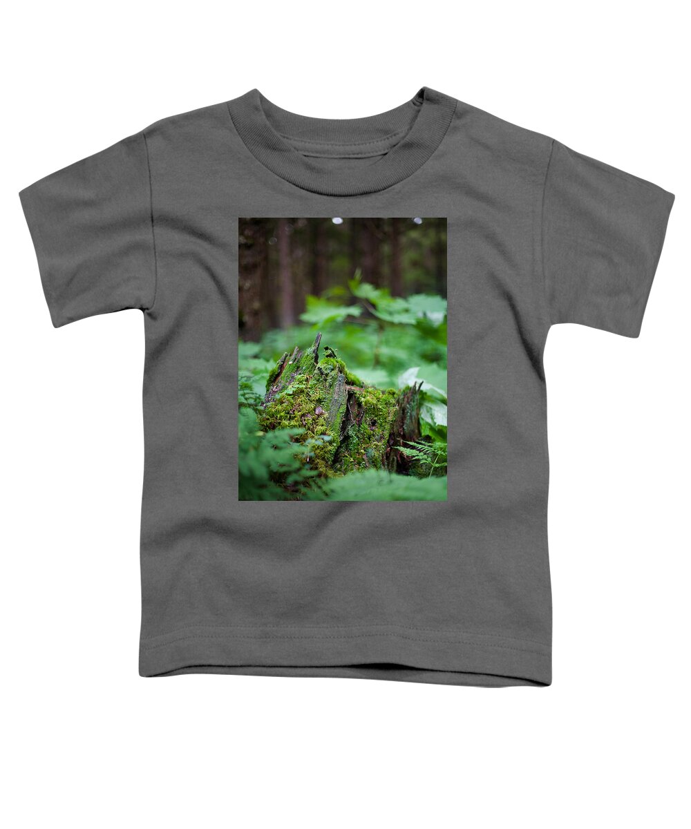 Alaska Toddler T-Shirt featuring the photograph Chugach National Forest by Scott Slone