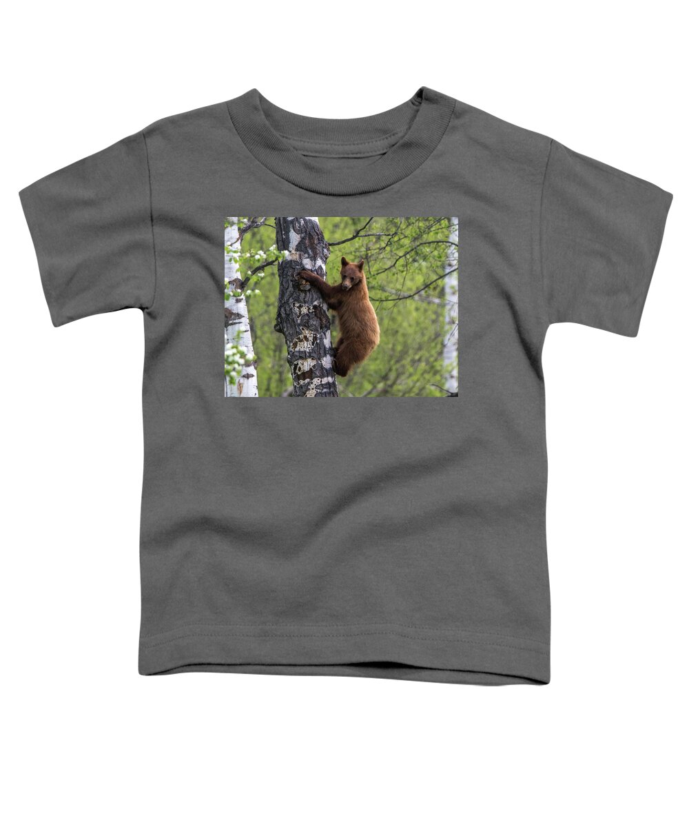 Bear Toddler T-Shirt featuring the photograph Cinnamon Climb by Kevin Dietrich