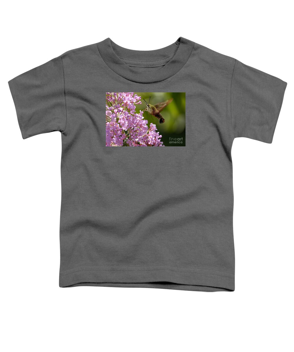 Hummingbird Clearwing Toddler T-Shirt featuring the photograph Clearwing Pink by Randy Bodkins