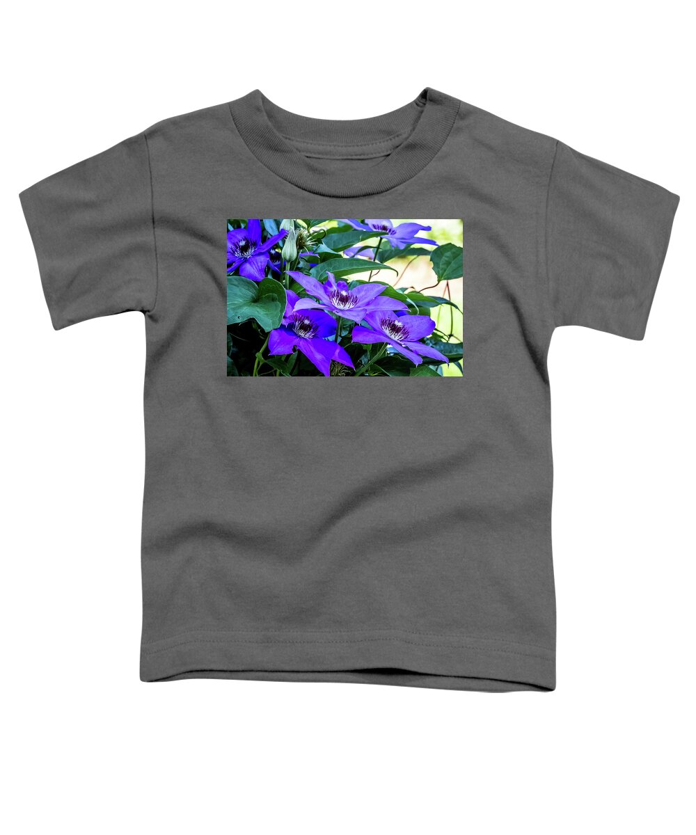 Flower Toddler T-Shirt featuring the digital art Clematis Magnificence by Ed Stines