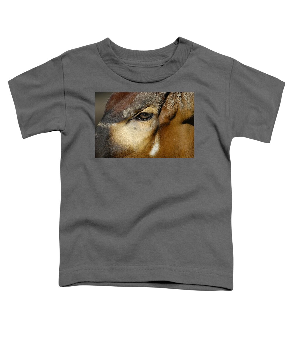 Memphis Zoo Toddler T-Shirt featuring the photograph Close Encounter by DArcy Evans
