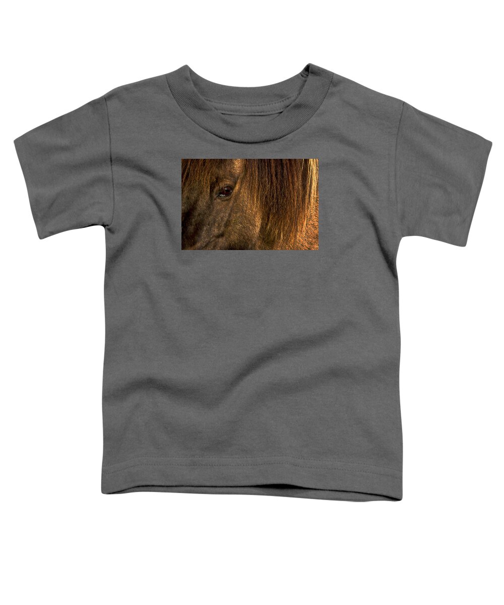 Horse Toddler T-Shirt featuring the photograph Closeup Of An Icelandic Horse #2 by Stuart Litoff