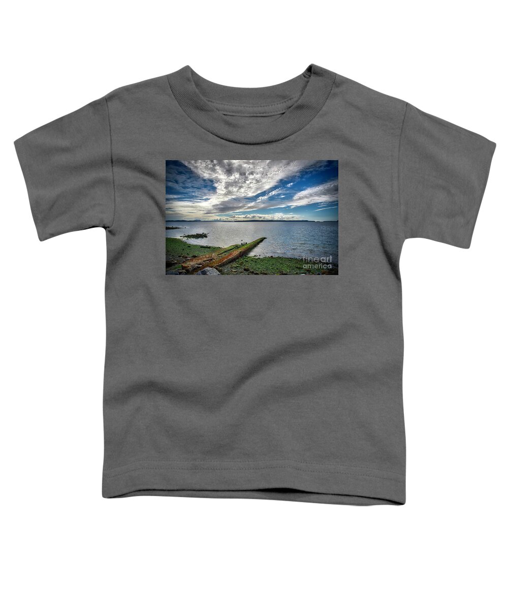 Clouds Toddler T-Shirt featuring the photograph Clouds Over The Bay by Barry Weiss