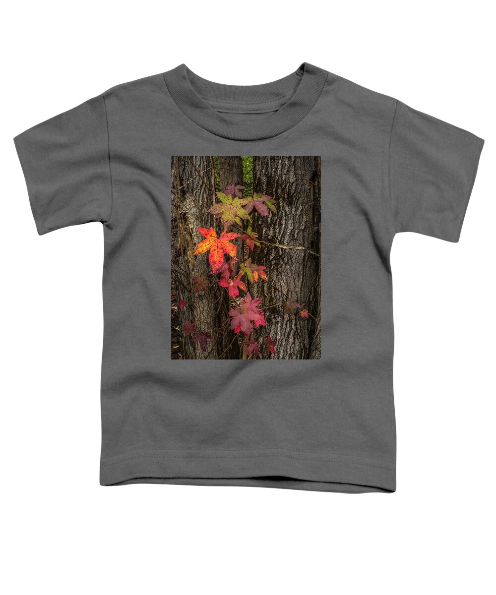 Fall Toddler T-Shirt featuring the photograph Colors Of Fall by Randall Evans