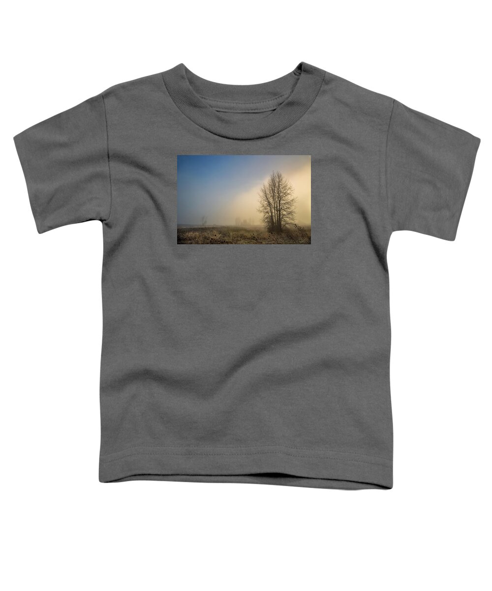 Portland Fog Toddler T-Shirt featuring the photograph Colors of winter sunrise by Kunal Mehra
