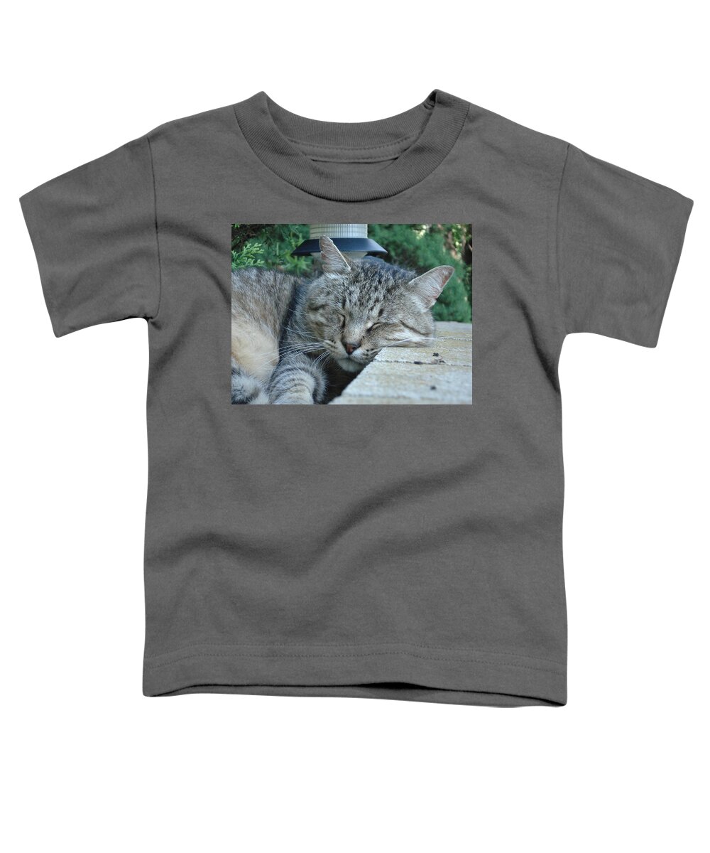Cat Toddler T-Shirt featuring the photograph Comfortable by DB Artist