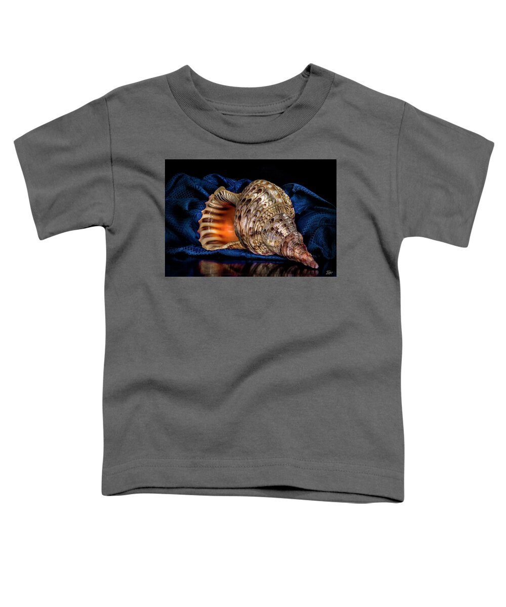 Conch Shell Toddler T-Shirt featuring the photograph Conch Shell by Endre Balogh