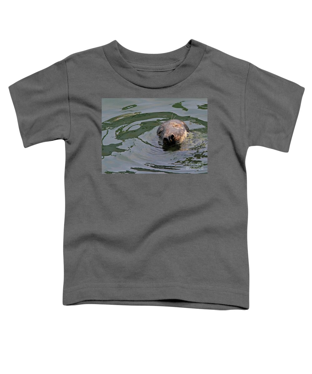 Seal.cape Cod Toddler T-Shirt featuring the photograph Contentment by Paula Guttilla