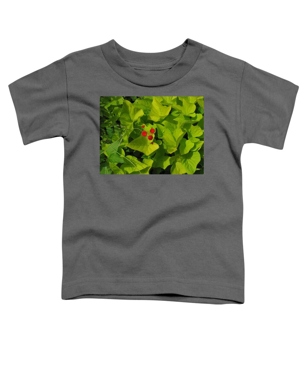 Flowers Toddler T-Shirt featuring the photograph Contrast by Deborah Crew-Johnson