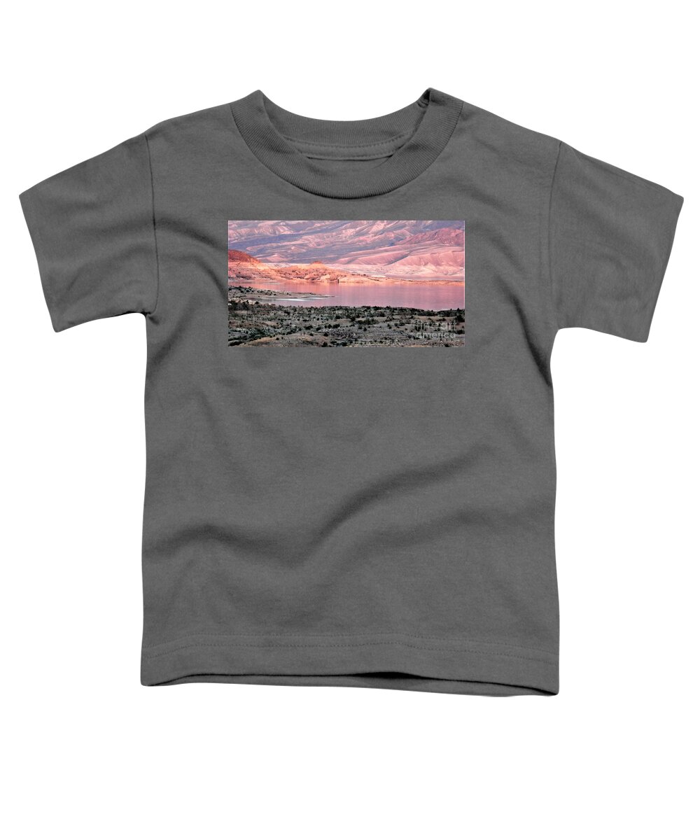Copper Toddler T-Shirt featuring the photograph Copper schemes by Barbara Leigh Art