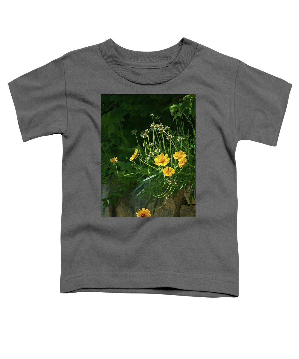Coreopsis Toddler T-Shirt featuring the photograph Coreopsis - Stone Wall by Nikolyn McDonald