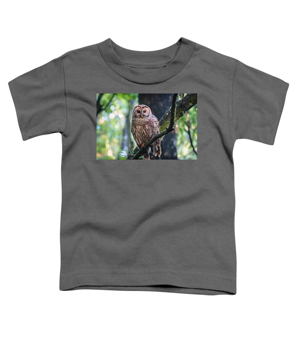 Florida Toddler T-Shirt featuring the photograph Corkscrew Swamp Sanctuary - Barred Owl Overlooking the Sanctuary by Ronald Reid