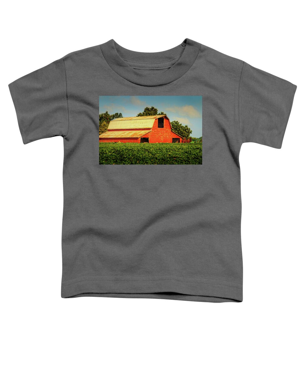 Cotton Barn Toddler T-Shirt featuring the photograph Cotton Barn - Rural Landscape by Barry Jones