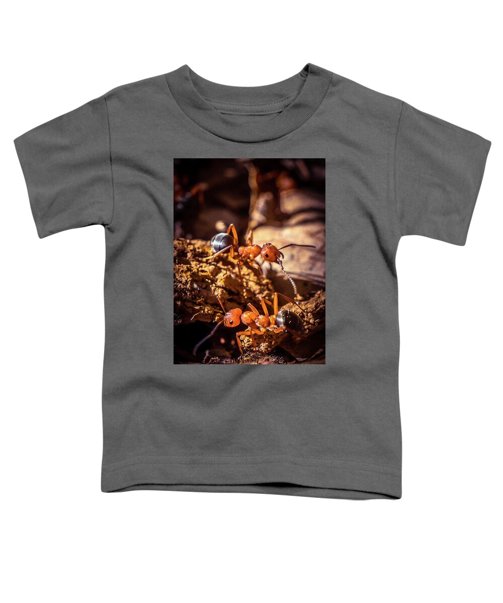 Ant Toddler T-Shirt featuring the photograph Couple of Ants by Lilia S