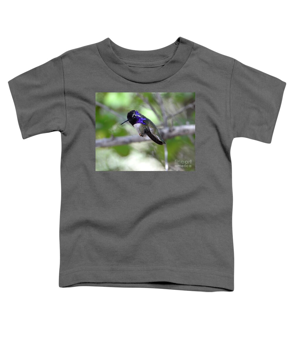 Denise Bruchman Toddler T-Shirt featuring the photograph Coy Costa's Hummingbird by Denise Bruchman