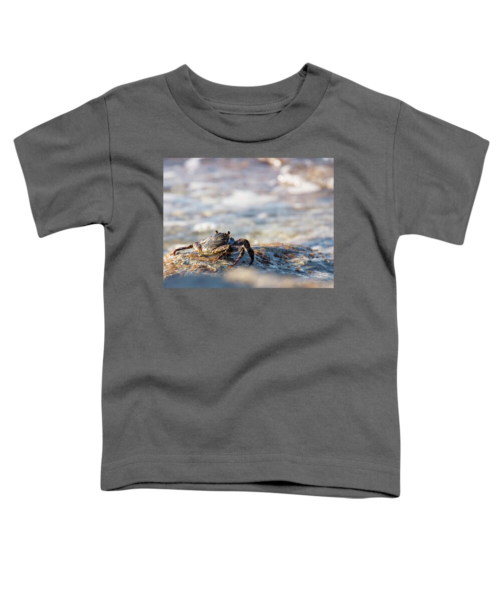 Crab Toddler T-Shirt featuring the photograph Crab Looking for Food by David Buhler