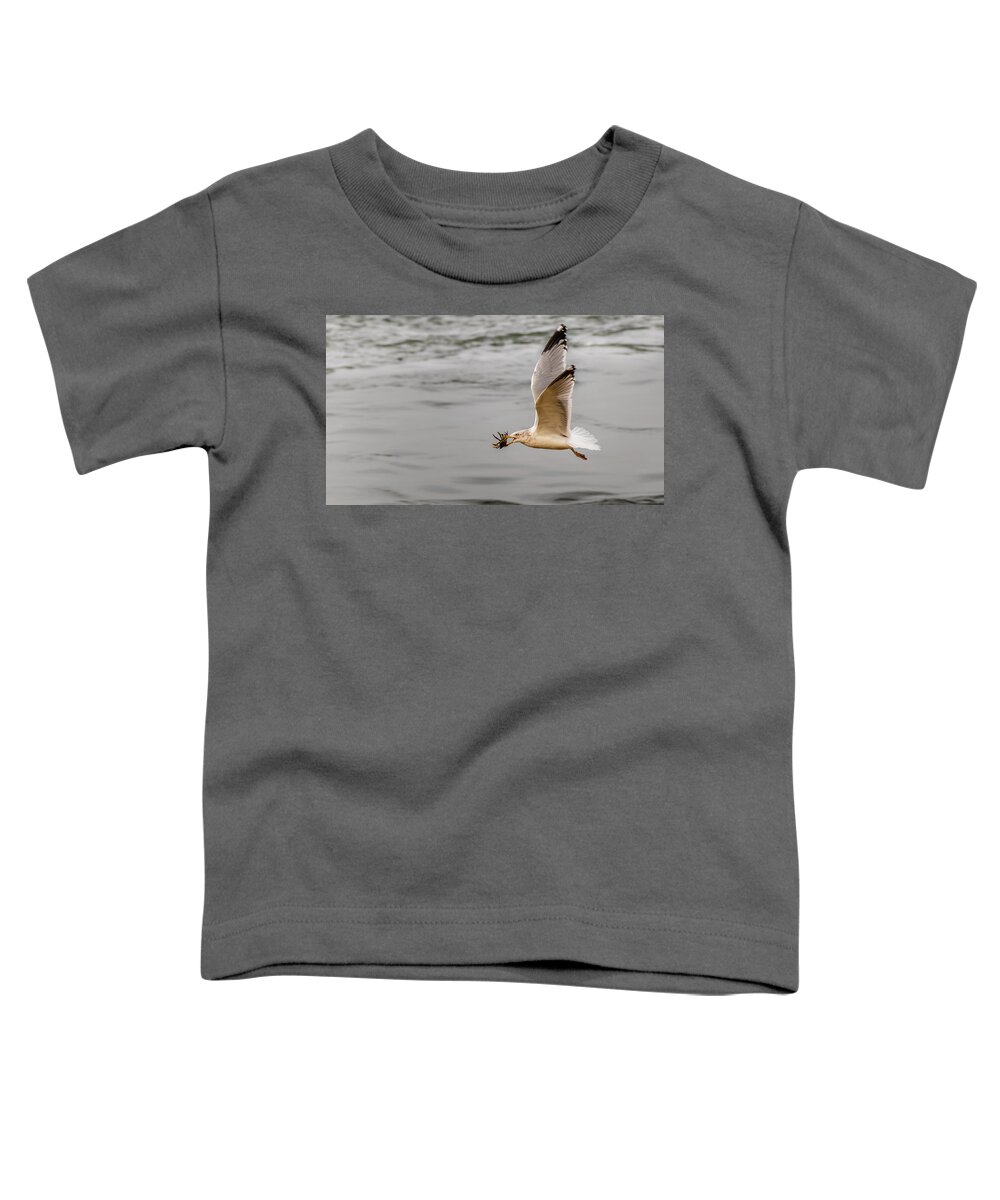 Animal Toddler T-Shirt featuring the photograph Crab with Seagull in flight by SAURAVphoto Online Store