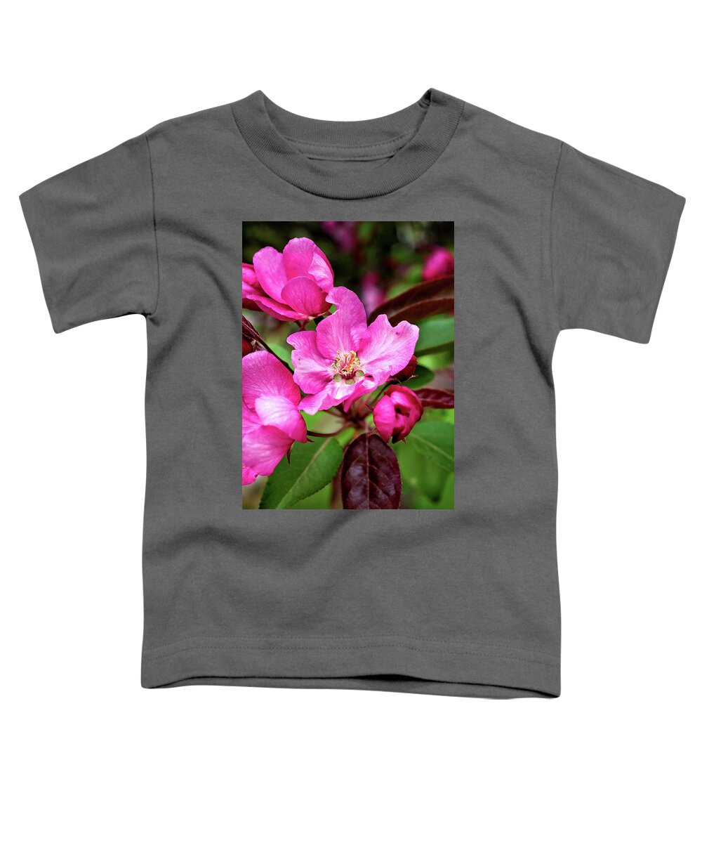 Crabapple Blossom Print Toddler T-Shirt featuring the photograph Crabapple Blossom Print by Gwen Gibson
