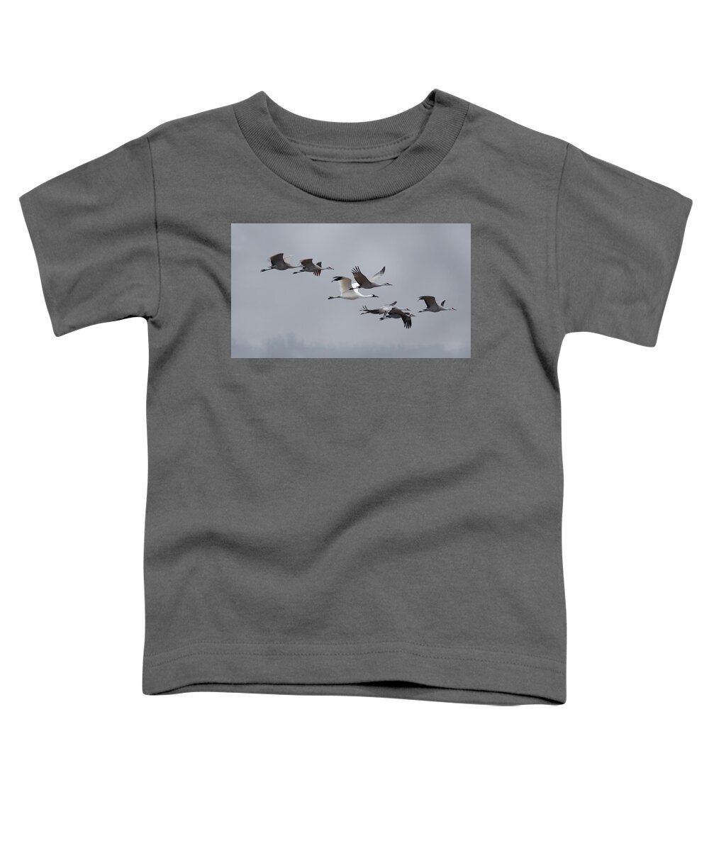 Whooping Crane Toddler T-Shirt featuring the photograph Cranes Flying by Susan Rissi Tregoning