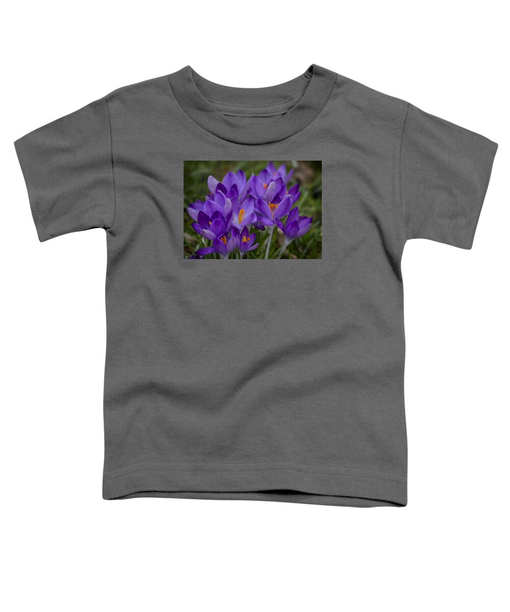 Floral Toddler T-Shirt featuring the photograph Crocus Cluster by Shirley Mitchell
