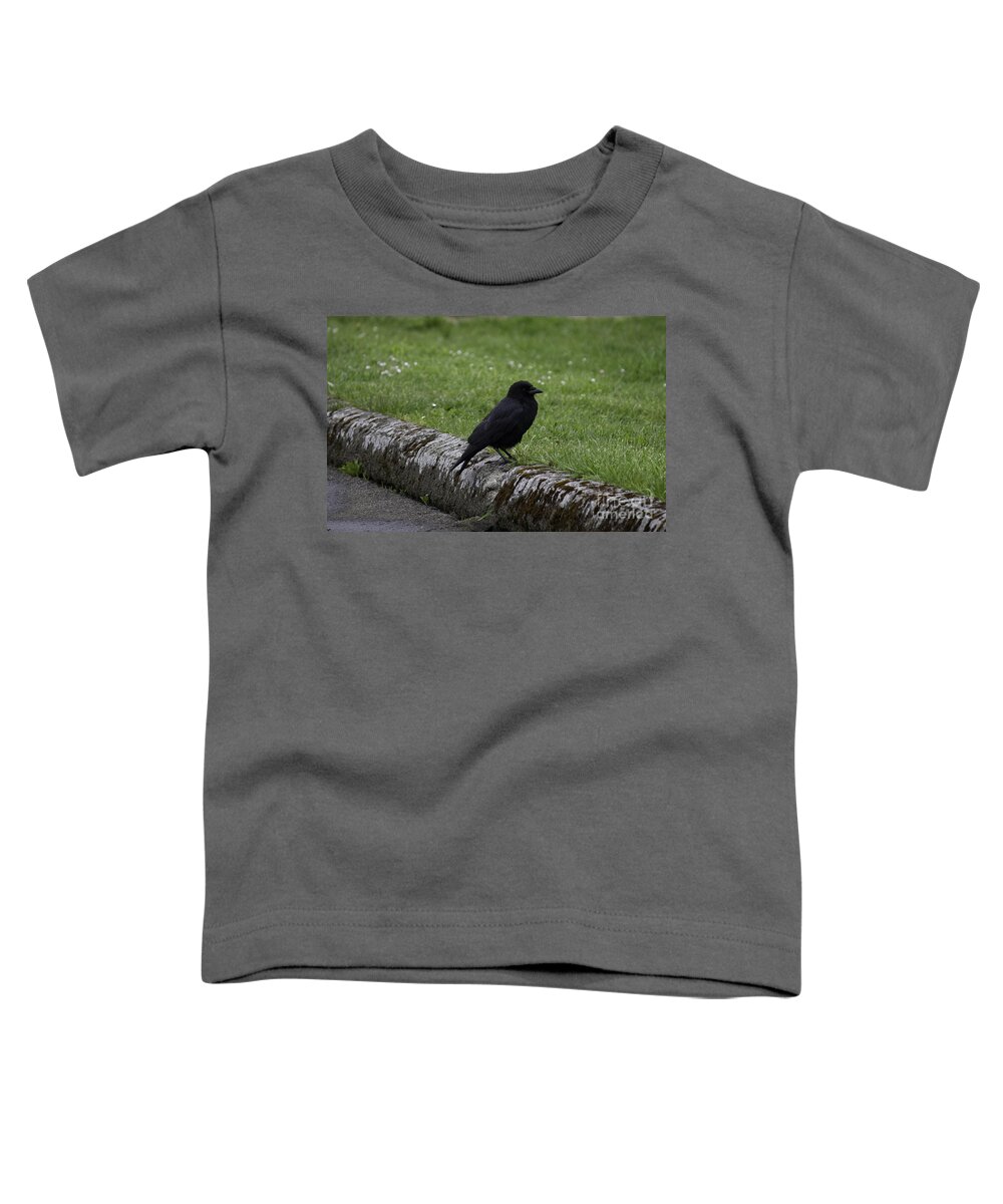 Landscape Toddler T-Shirt featuring the photograph Crow at Point Roberts by Donna L Munro