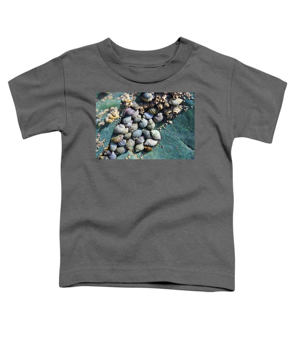 Adria Trail Toddler T-Shirt featuring the photograph Cuddlers by Adria Trail