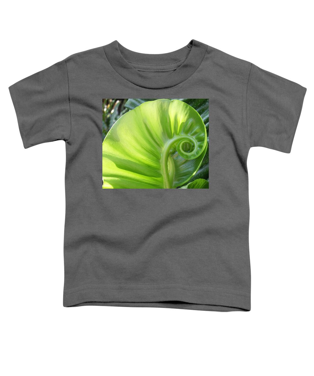 Leaf Toddler T-Shirt featuring the photograph Curly Leaf by Amy Fose