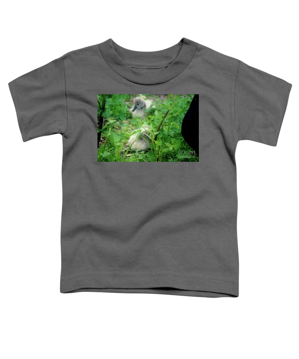 Cygnet Toddler T-Shirt featuring the photograph Cygnets V by Cassandra Buckley