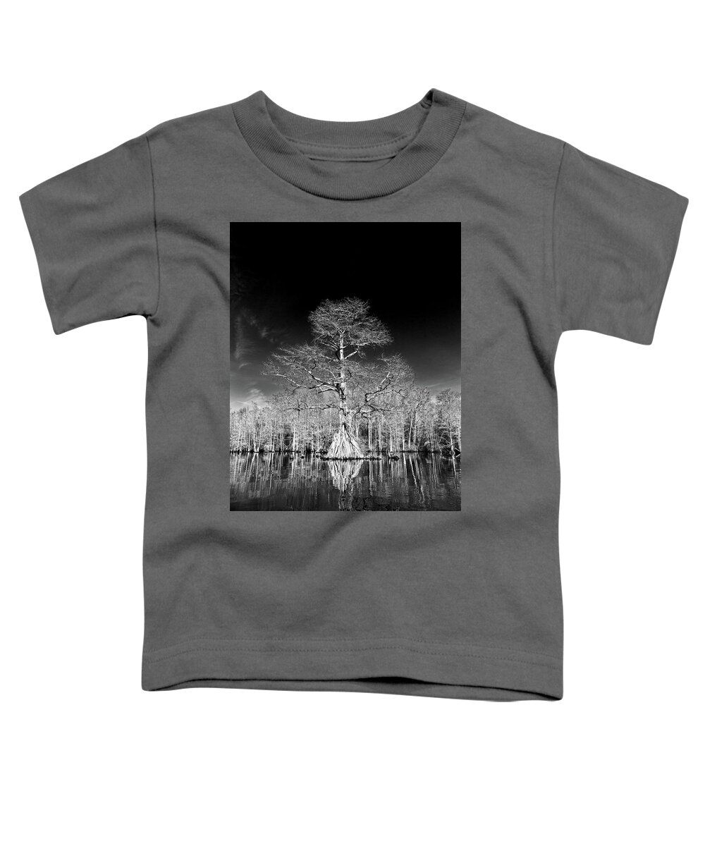 Cypress Toddler T-Shirt featuring the photograph Cypress Contrast by Alan Raasch