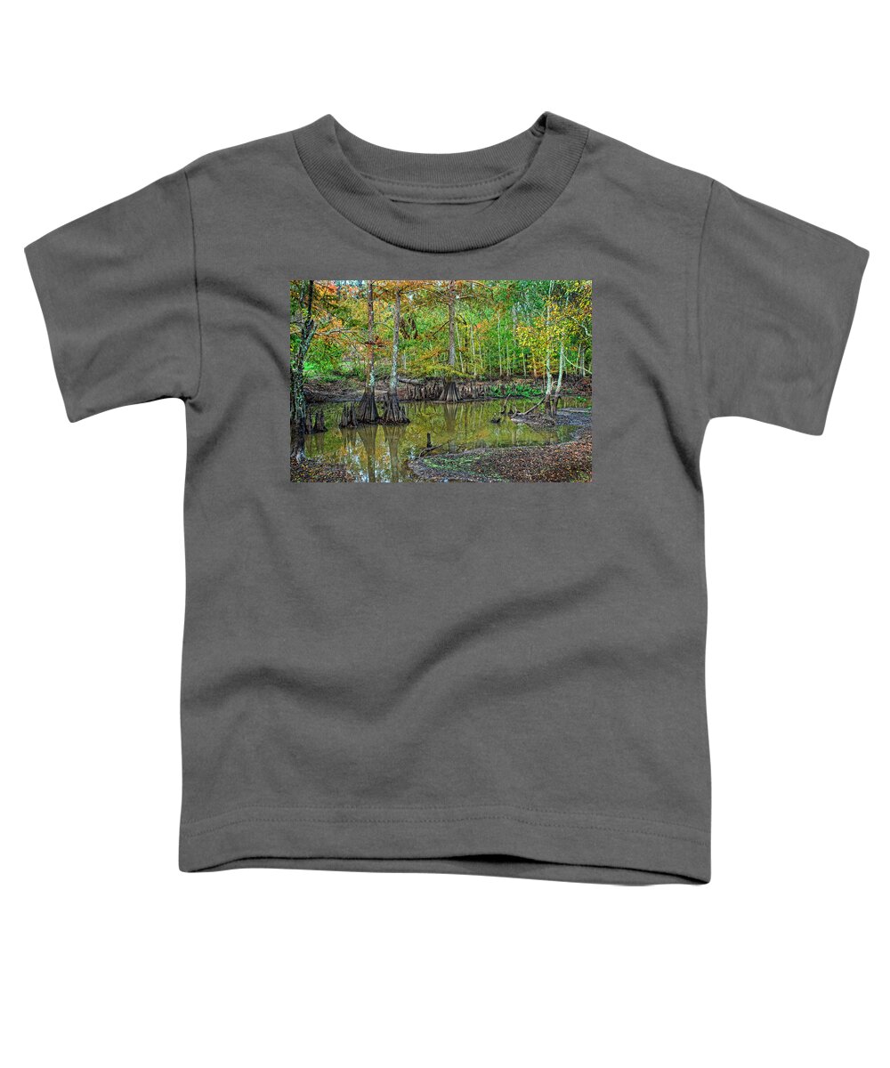 Cypress Toddler T-Shirt featuring the photograph Cypress In Autimn by Ron Weathers