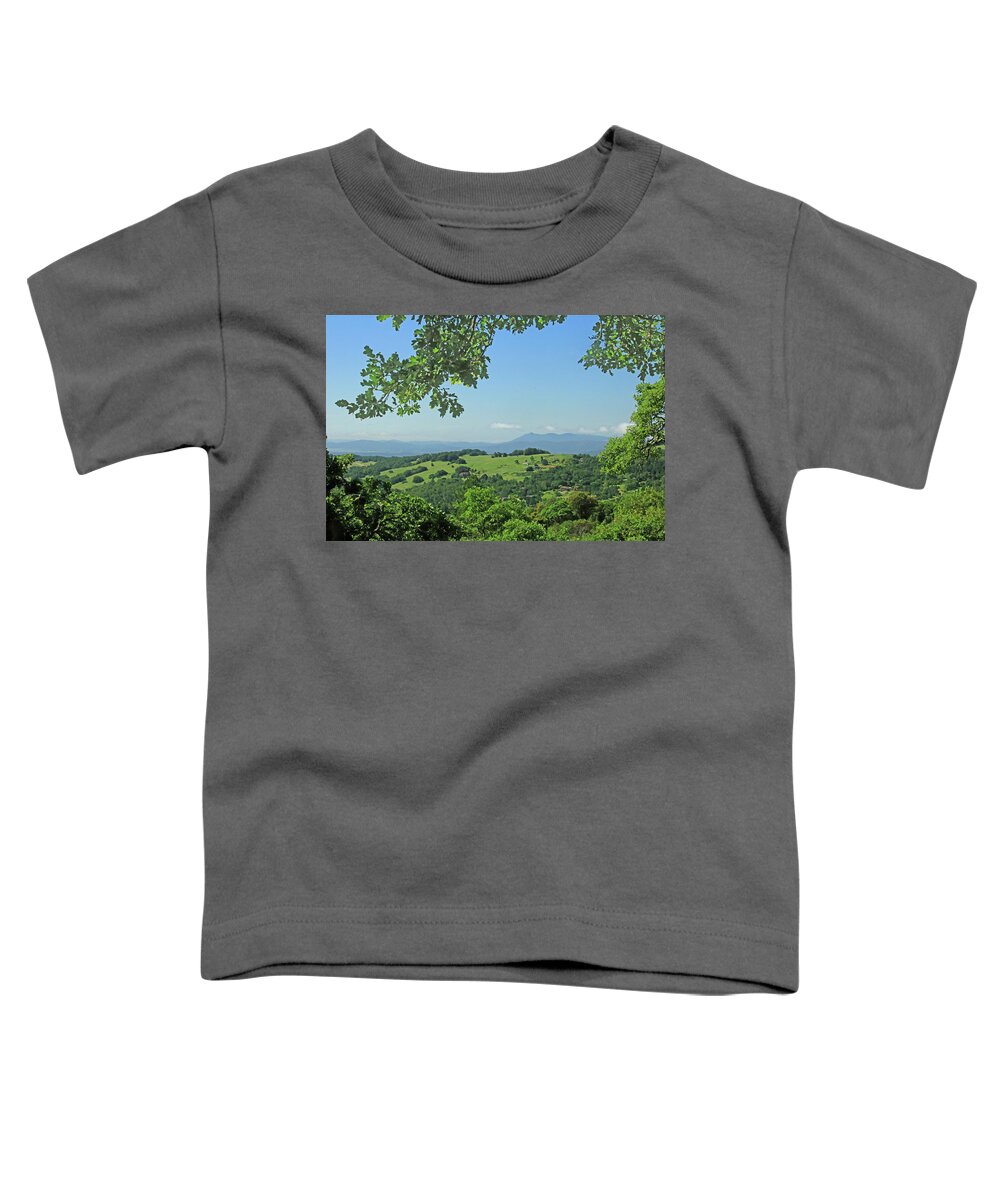 Oak Trees Toddler T-Shirt featuring the photograph D7B6319 Oak Trees Frame SF Bar Area View CA by Ed Cooper Photography
