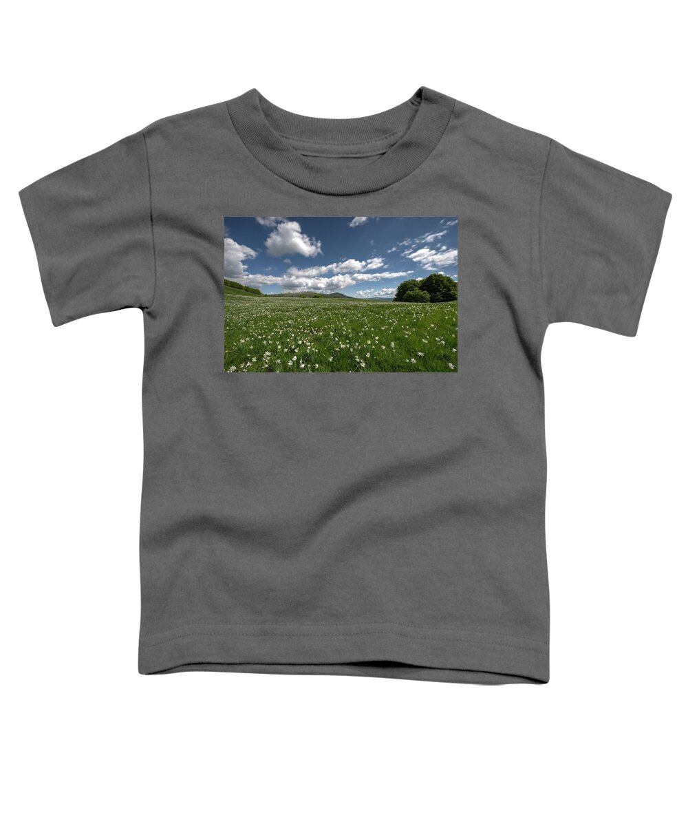 Daffodils Toddler T-Shirt featuring the photograph Daffodils Blossimg At Cavalla Plains 2016 1 by Enrico Pelos