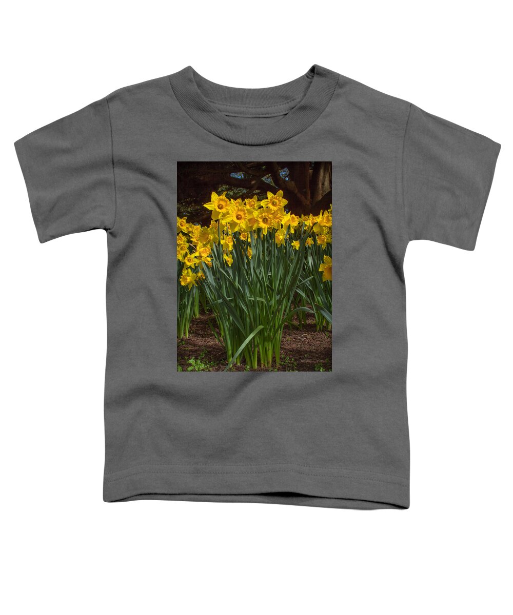 Daffodils Standing Tall Toddler T-Shirt featuring the photograph Daffodils Standing Tall by Bonnie Follett