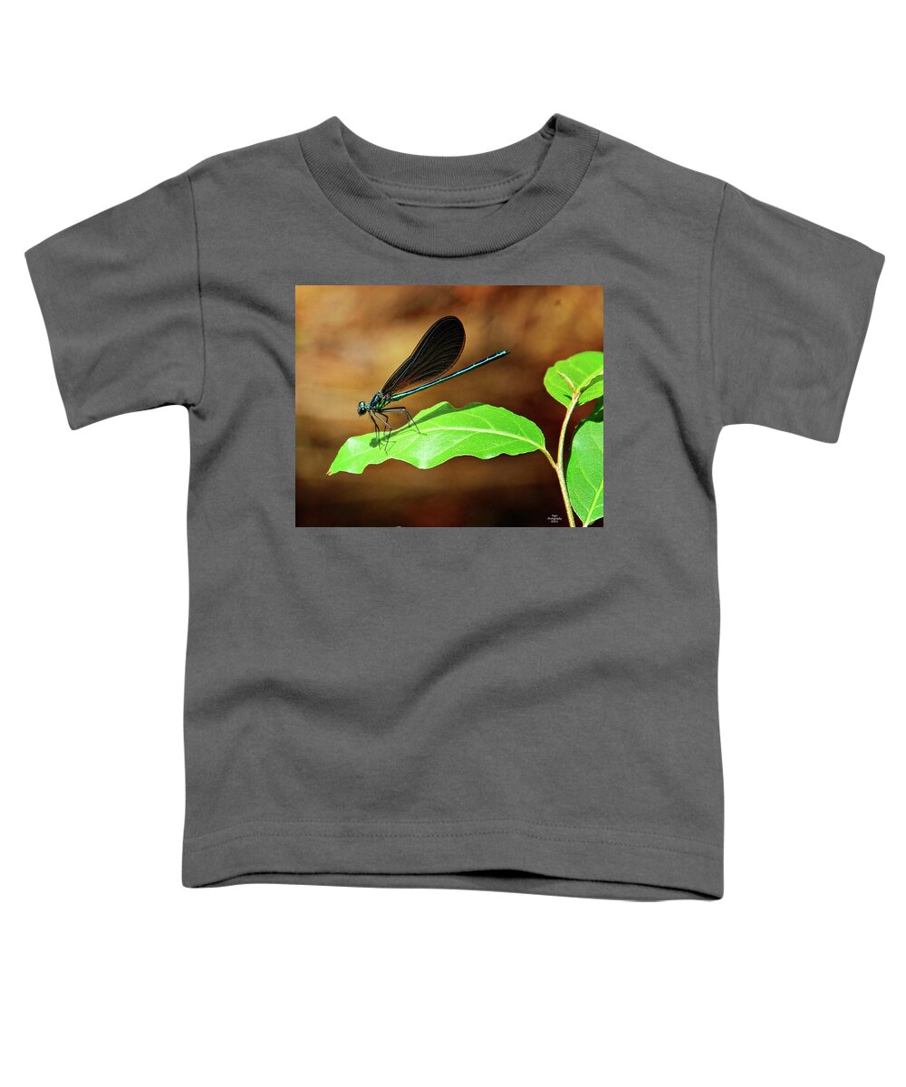 Dragon Fly Toddler T-Shirt featuring the photograph Damsal Fly on Leaf by Peg Runyan