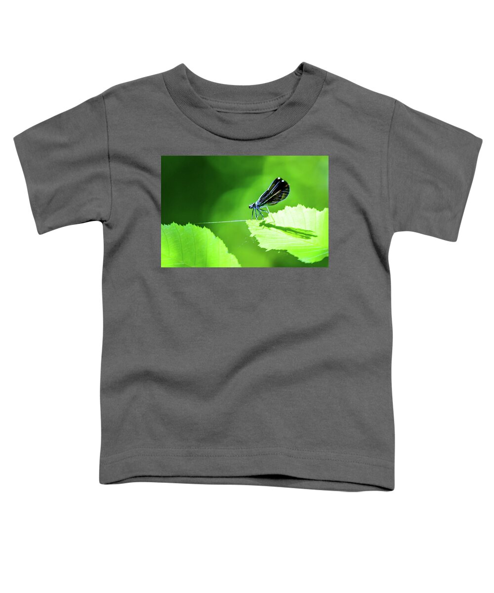 Damselfly Toddler T-Shirt featuring the photograph Dare Me to Walk This Tightrope? by Mary Ann Artz