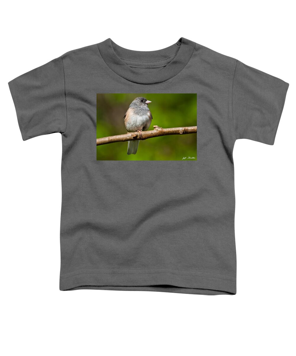 Adult Toddler T-Shirt featuring the photograph Dark Eyed Junco Perched on a Branch by Jeff Goulden