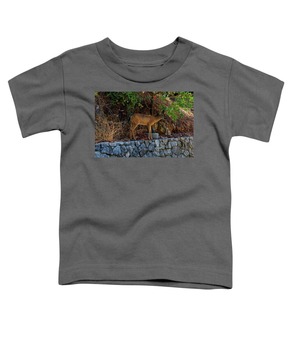 Deer Toddler T-Shirt featuring the photograph Deer by Peter Ponzio
