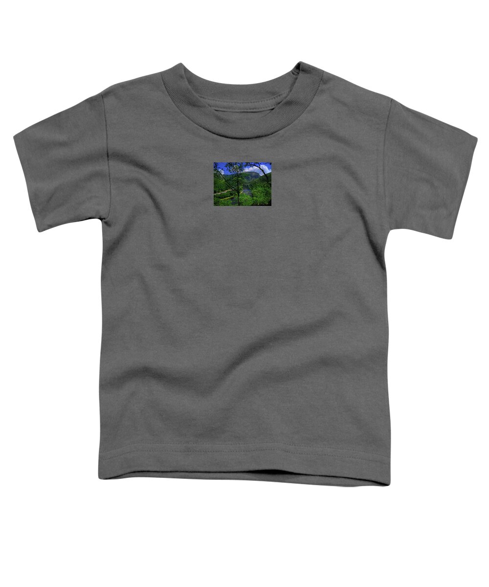 Delaware Water Gap Toddler T-Shirt featuring the photograph Delaware Water Gap by Raymond Salani III