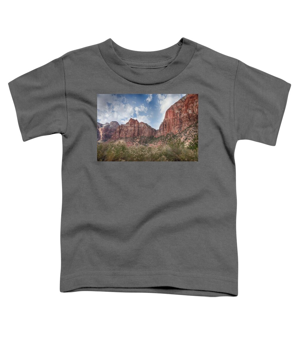Landscape Toddler T-Shirt featuring the photograph Descent into Zion by John M Bailey