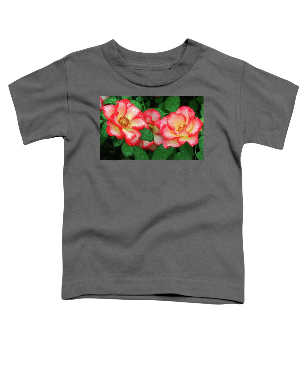 Dewy Roses Toddler T-Shirt featuring the photograph Dew-covered Roses by Ram Vasudev