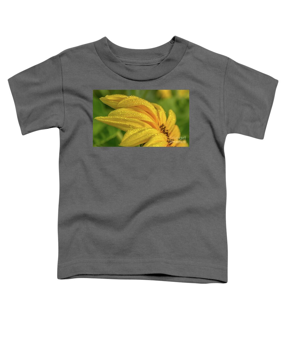 Cheryl Baxter Photography Toddler T-Shirt featuring the photograph Dew Droplets on Sunflower by Cheryl Baxter