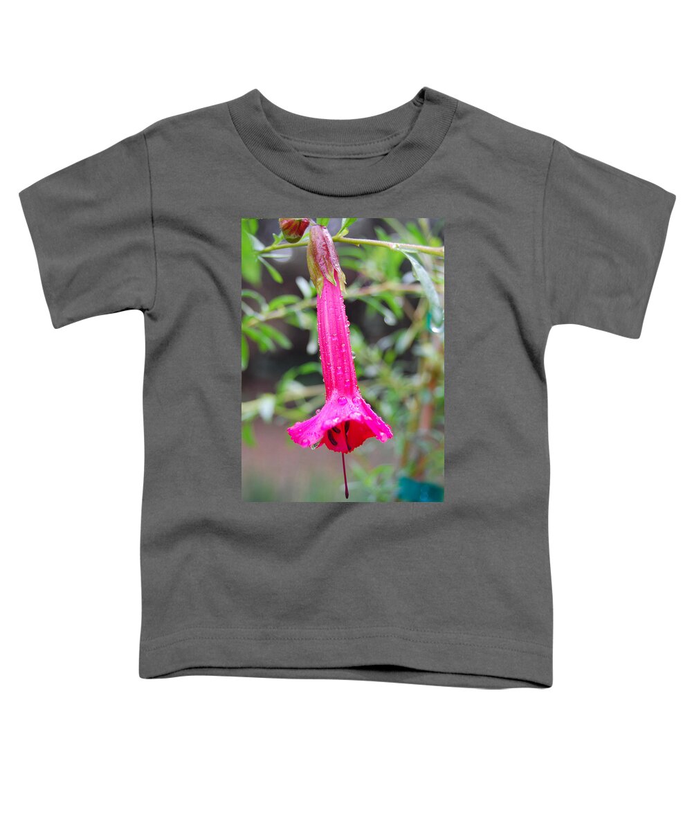Flower Toddler T-Shirt featuring the photograph Dewy Red Bloom by Amy Fose