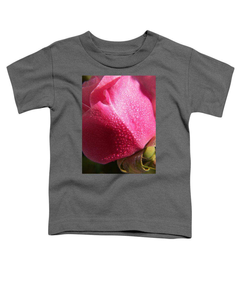 Pink Roses Toddler T-Shirt featuring the photograph Dewy Rose by Amy Fose