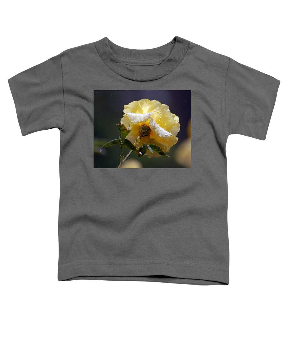 Flower Toddler T-Shirt featuring the photograph Dewy Yellow Rose 1 by Amy Fose